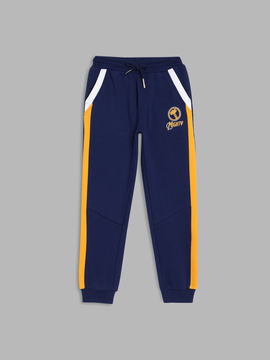 Blue Giraffe Boys Navy Blue Colour blocked Regular Fit Sweatpant