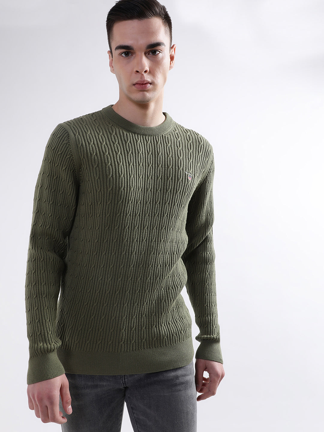 Gant Men Green Solid Round Neck Sweater