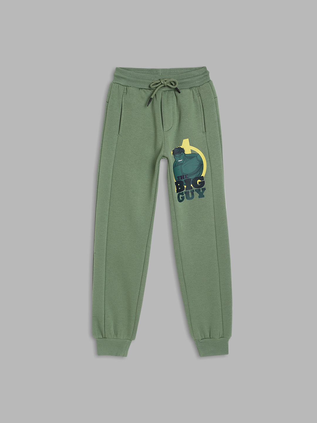 Blue Giraffe Boys Green Solid Regular Fit Sweatpant