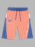 Blue Giraffe Boys Blue Colorblocked Straight Fit Mid-Rise Shorts