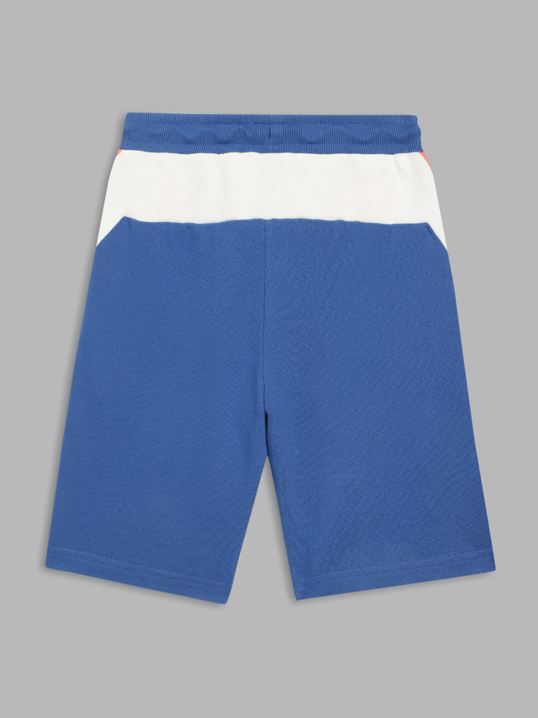 Blue Giraffe Boys Blue Colorblocked Straight Fit Mid-Rise Shorts