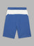 Blue Giraffe Boys Blue Colorblocked Straight Fit Mid-Rise Shorts