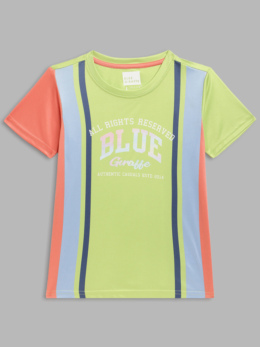 Blue Giraffe Boys Multicolor Colorblocked Round Neck Short Sleeves T-Shirt