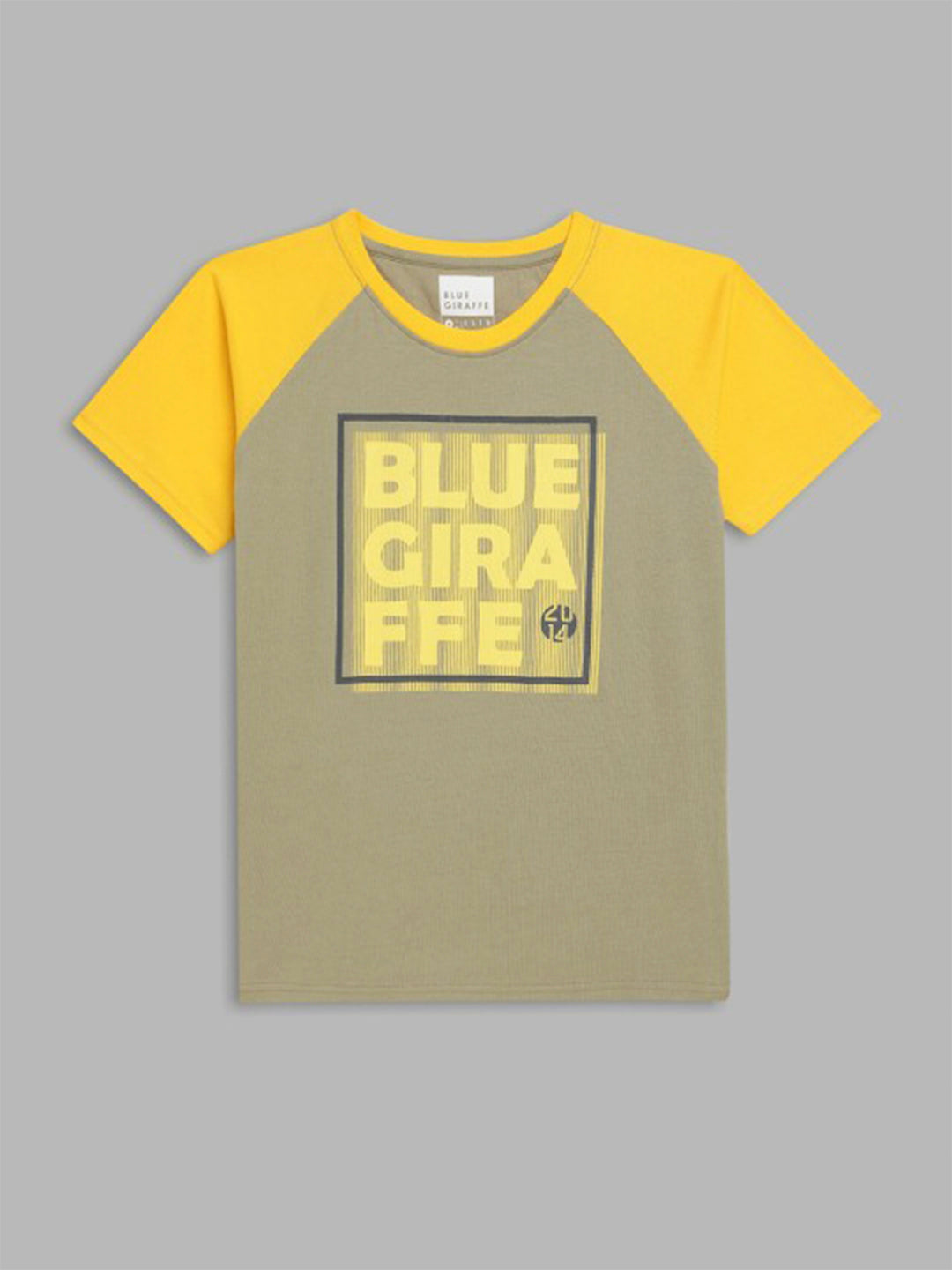 Blue Giraffe Boys Green Color-Blocked Round Neck Short Sleeves T-Shirt