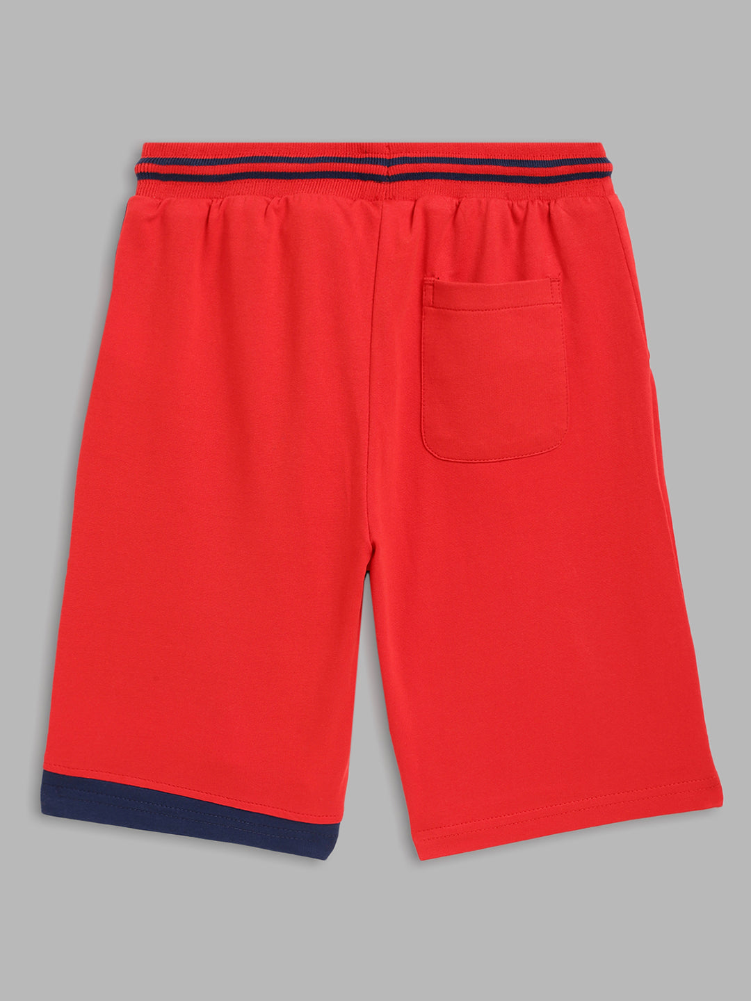 Blue Giraffe Boys Red Printed Regular Fit Shorts