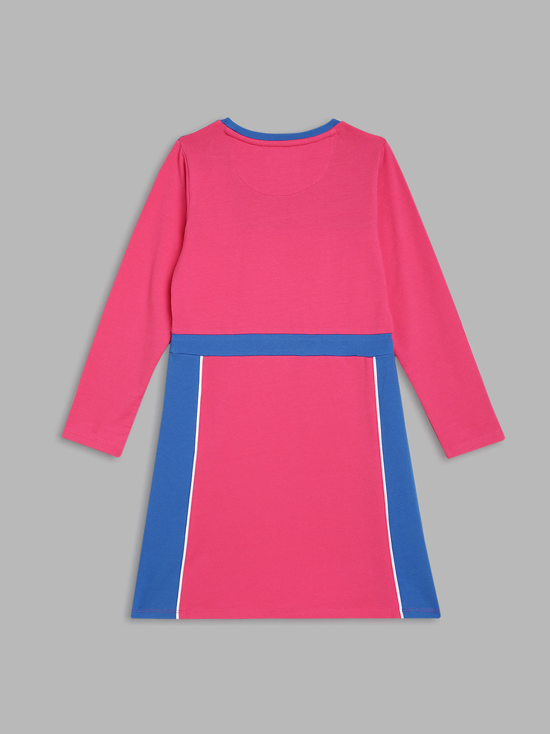 Blue Giraffe Girls Pink Colorblocked Round Neck Full Sleeves A-line Dress