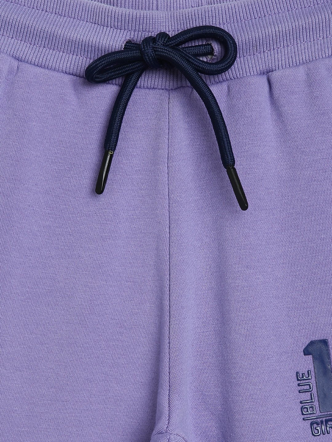 Blue Giraffe Boys Purple Colorblocked Straight Fit Mid-Rise Joggers Style Trackpant