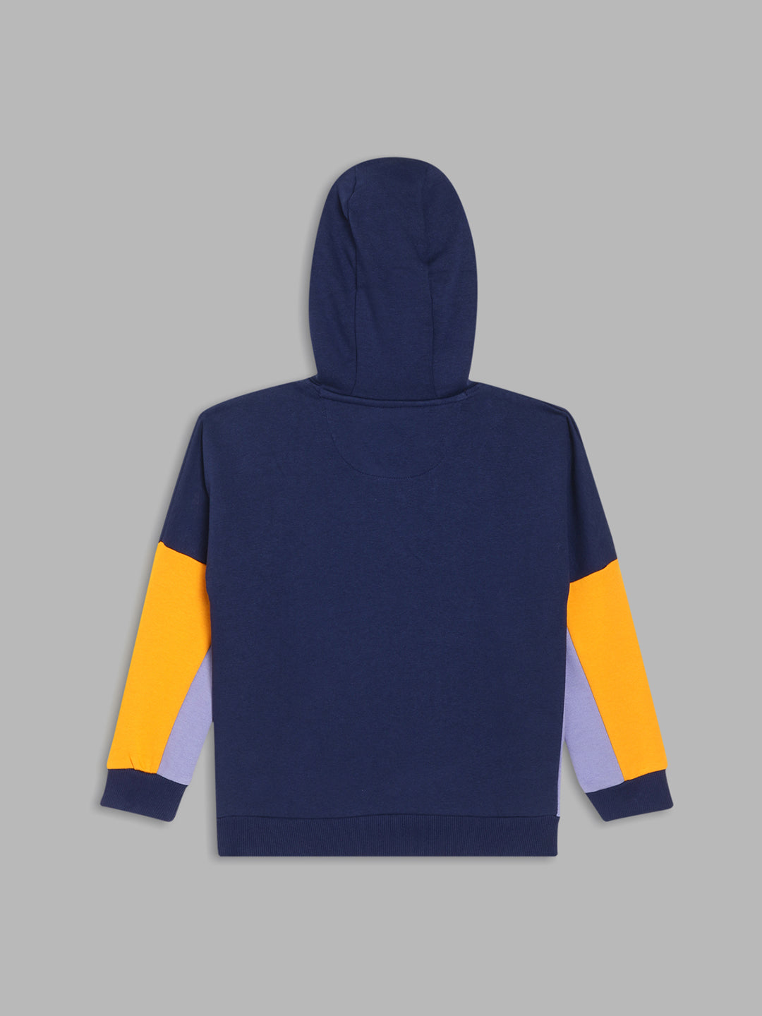 Blue Giraffe Boys Blue Color-Blocked Hooded Full Sleeves Pullover Style Sweatshirt