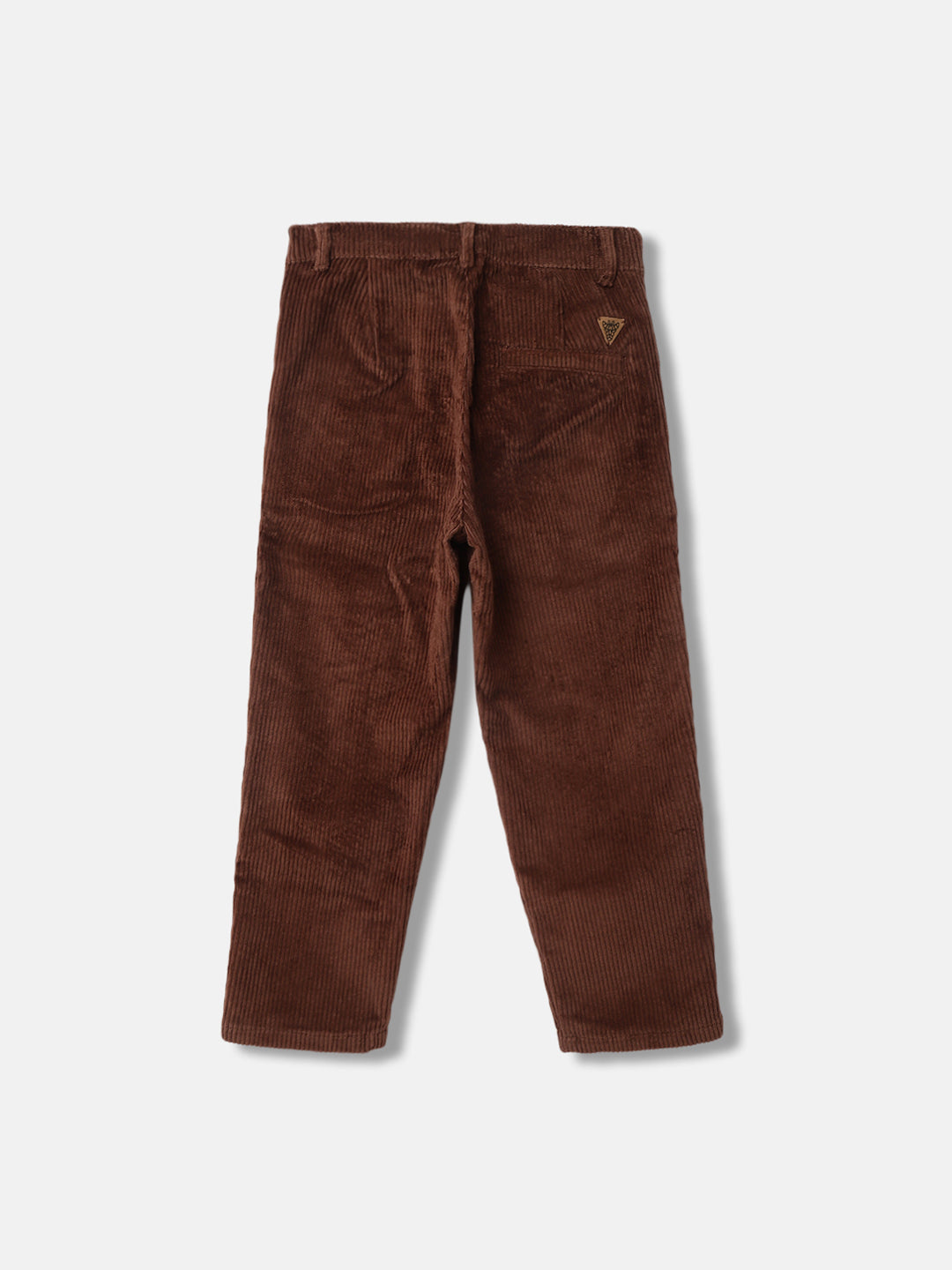 Blue Giraffe Boys Brown Solid Slim Fit Corduroy Trouser