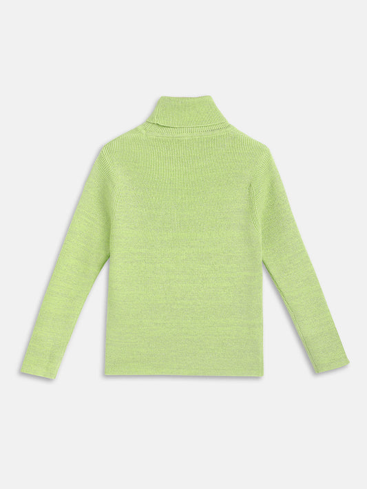 Blue Giraffe Girls Green Solid Turtle Neck Full Sleeves Pullover Style Sweater