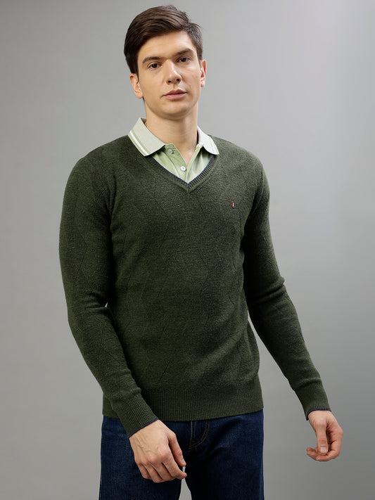 Iconic Men Green Solid V-Neck Full Sleeves Sweater