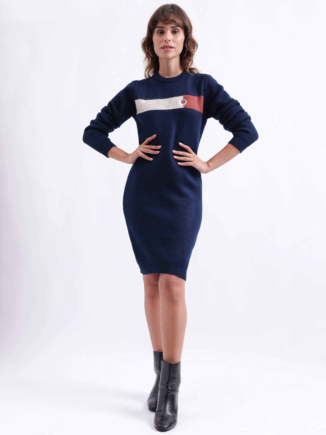 Iconic Women Navy Blue Colorblocked Round Neck Full Sleeves Dress