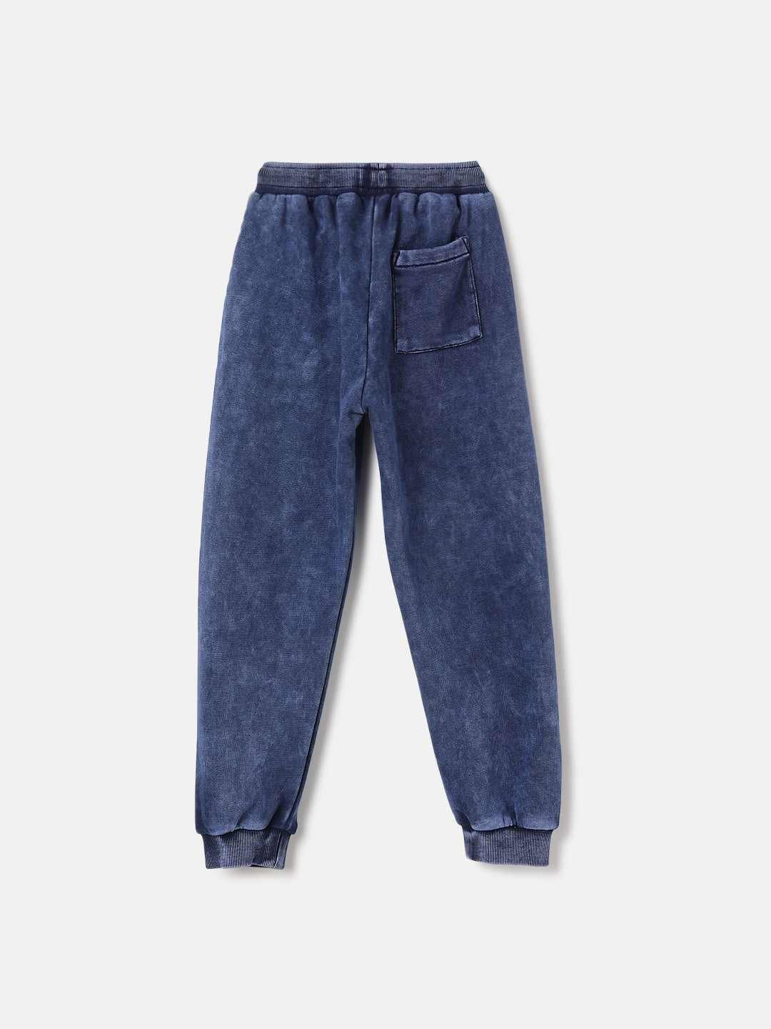 Blue Giraffe Boys Washed Regular Fit Sweatpant