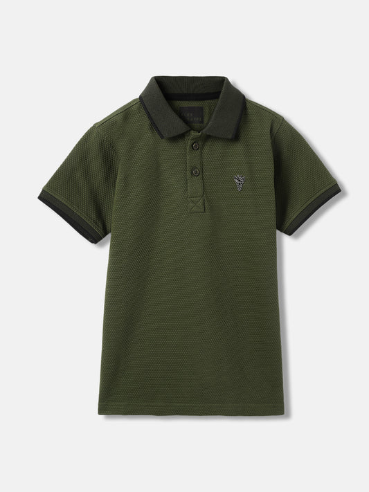 Blue Giraffe Boys Olive Solid Collared Short Sleeves Polo T-Shirt