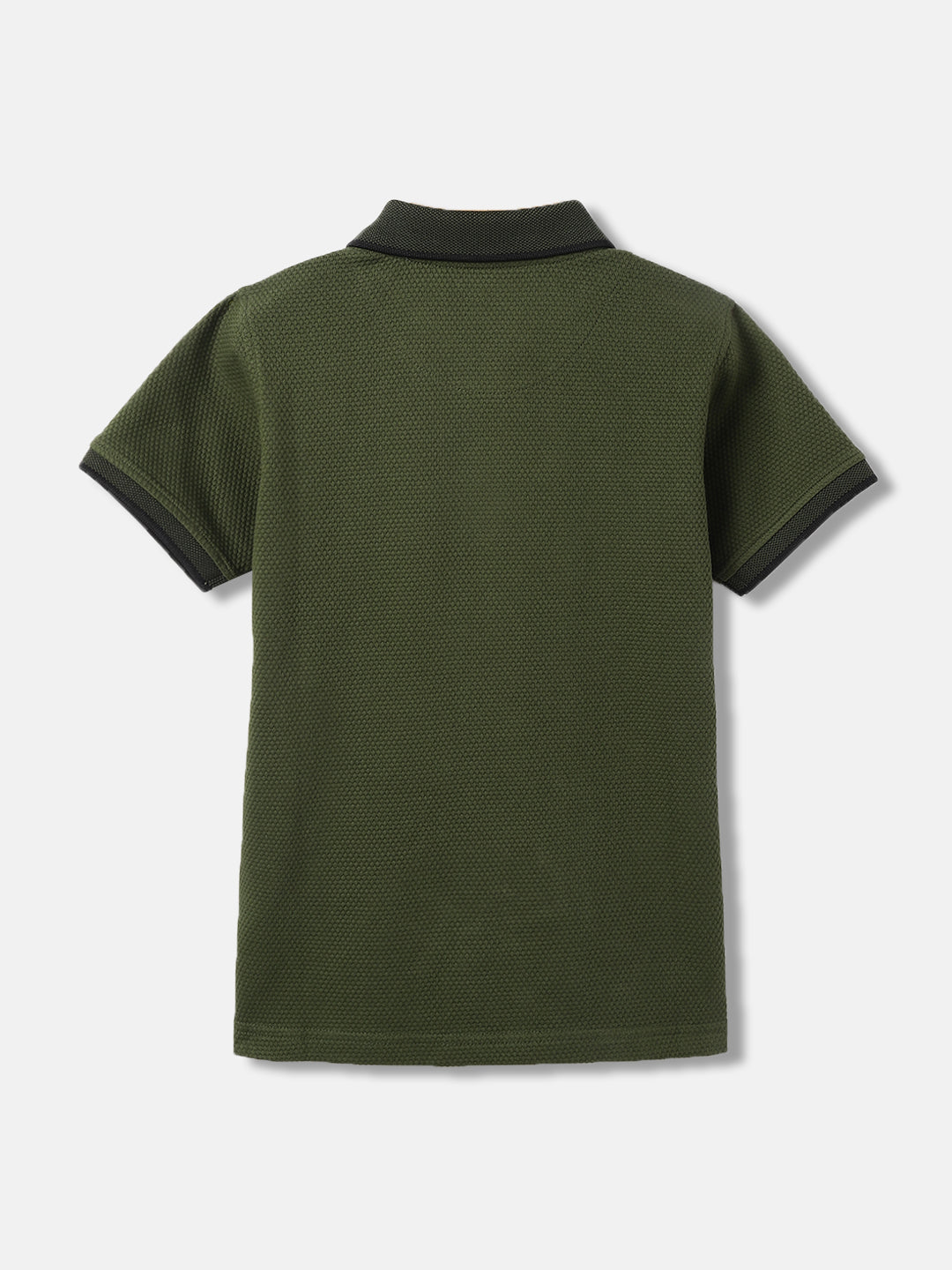 Blue Giraffe Boys Olive Solid Collared Short Sleeves Polo T-Shirt