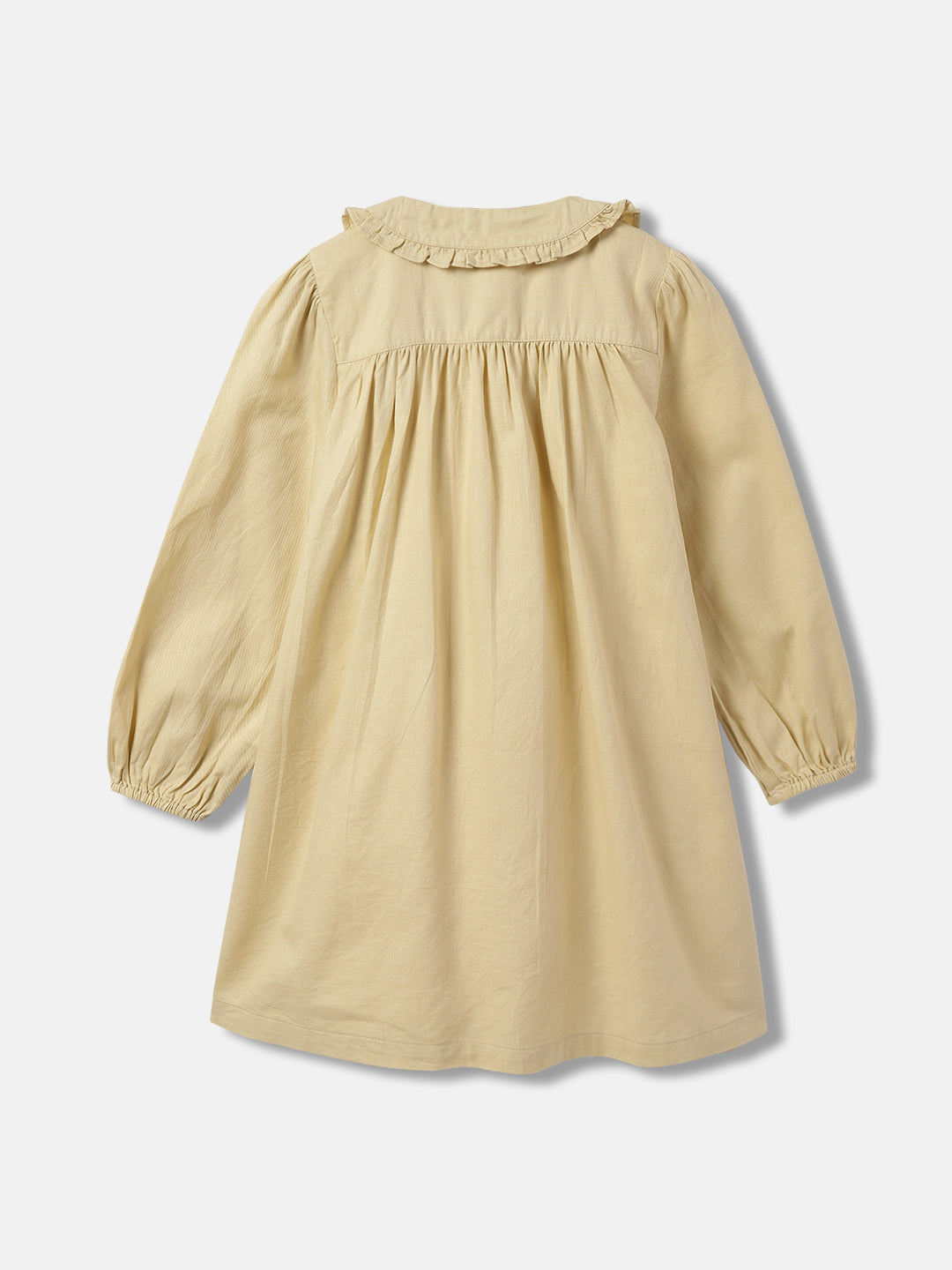 Blue Giraffe Girls Beige Embroidered Peter pan Collar Full Sleeves A-line Dress