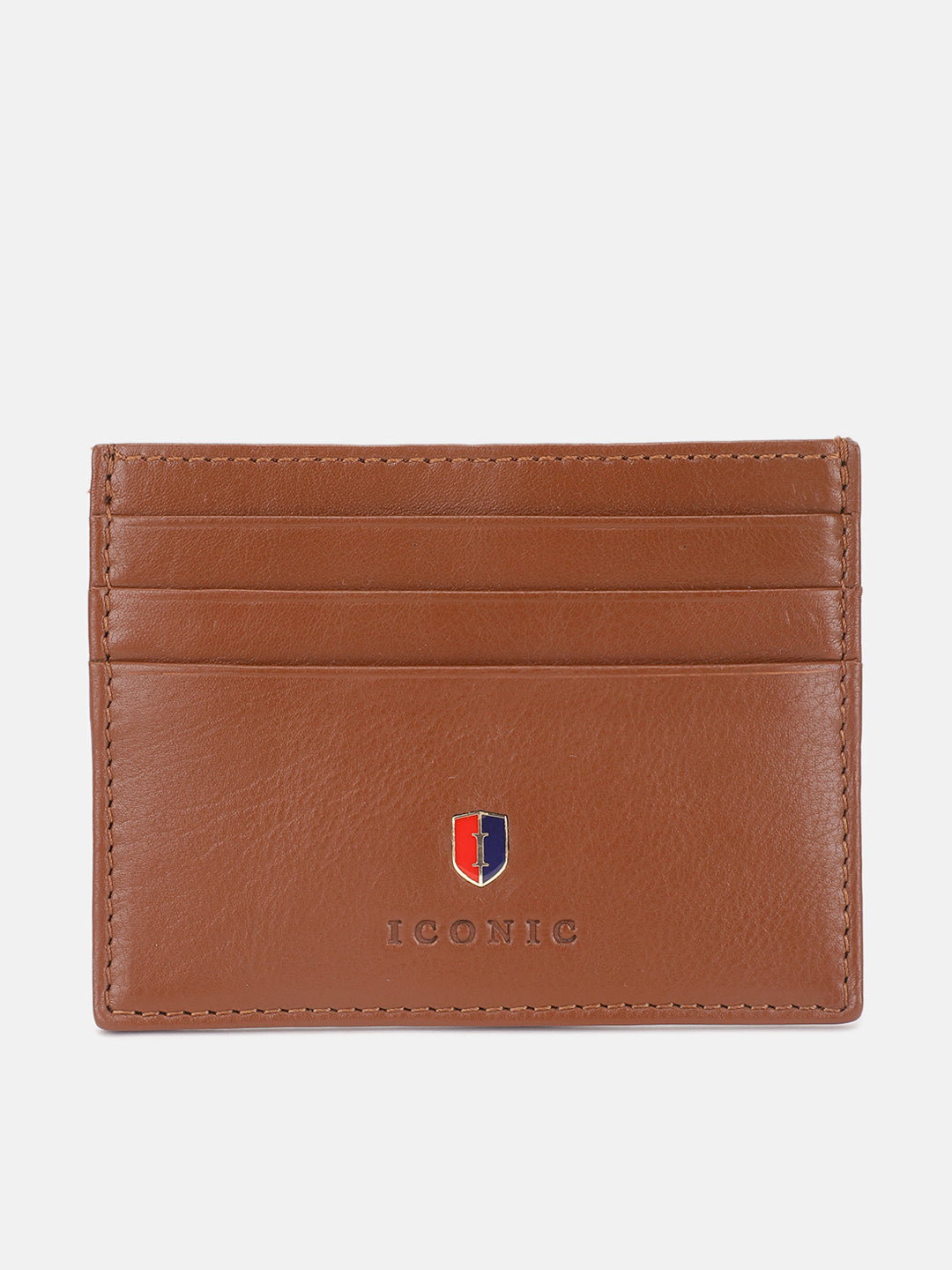 Iconic Men Brown Solid Card Holder