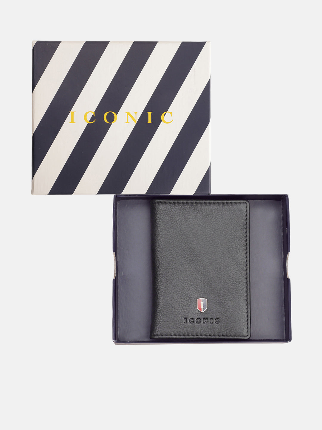 Iconic Men Black Textured Passport Holder