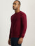 Iconic Men Maroon Solid Round Neck Full Sleeves Sweater