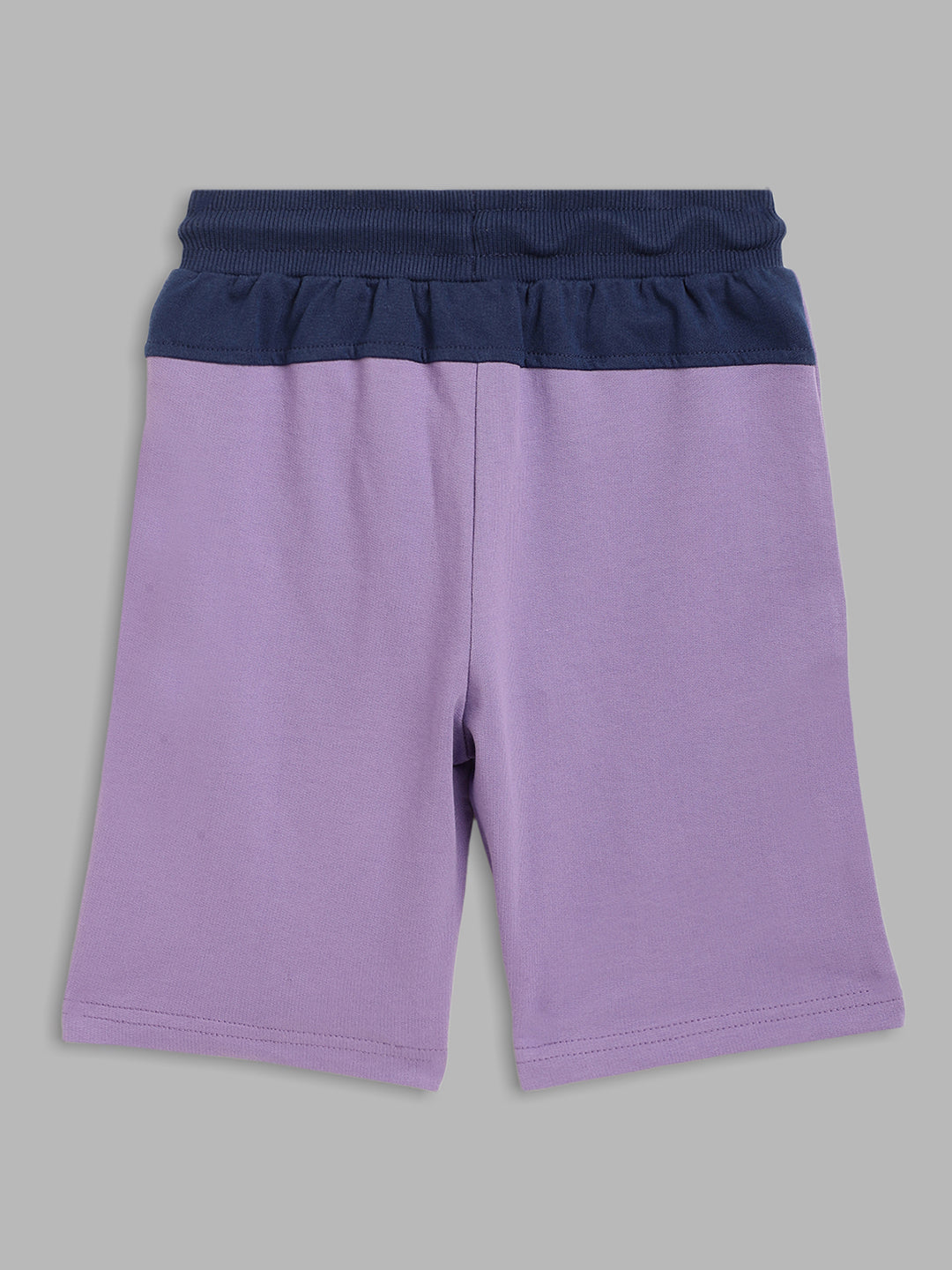 Blue Giraffe Boys Lilac Solid Regular Fit Shorts