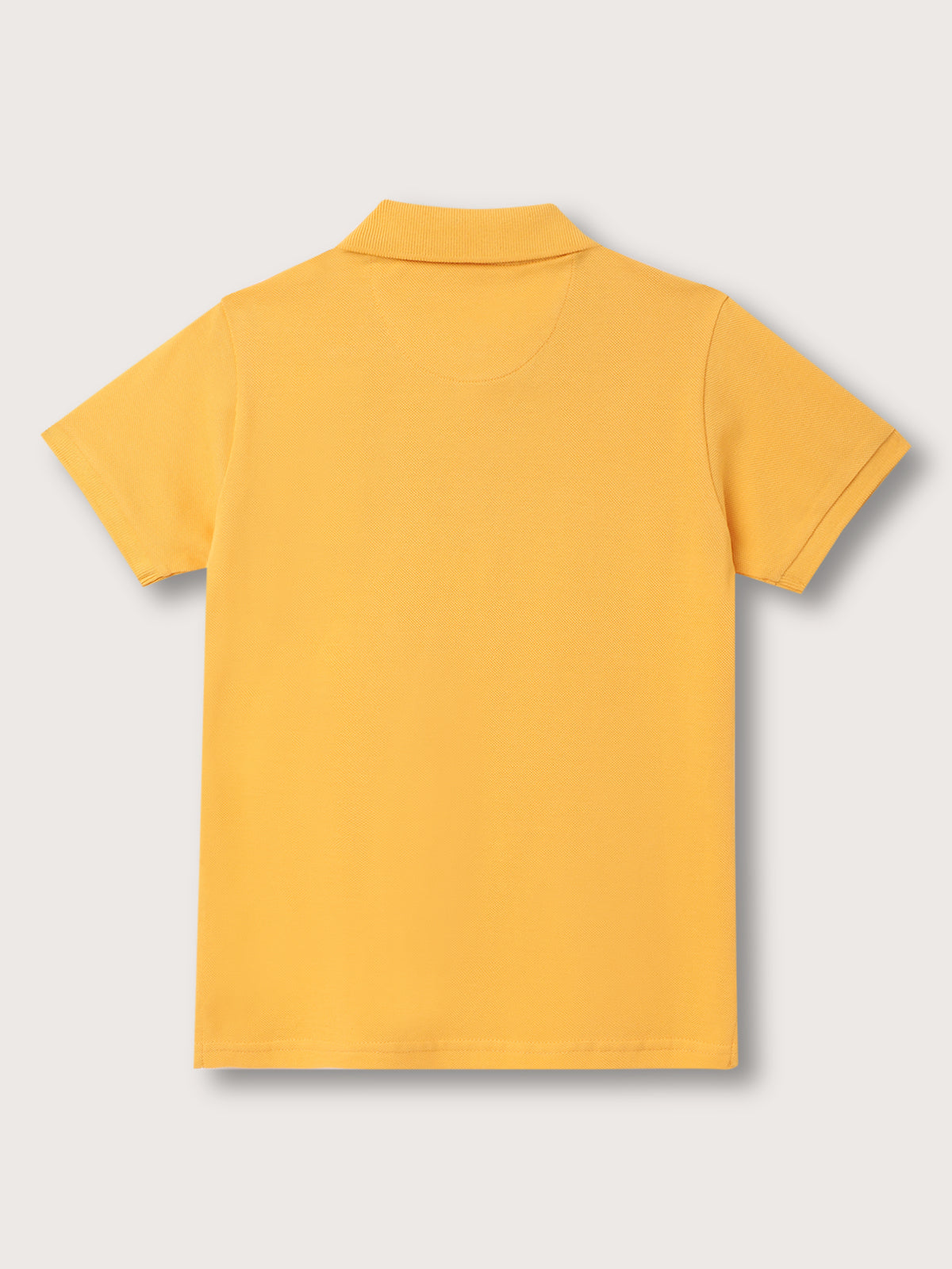 Blue Giraffe Kids Yellow Embroidered Regular Fit Polo T-Shirt