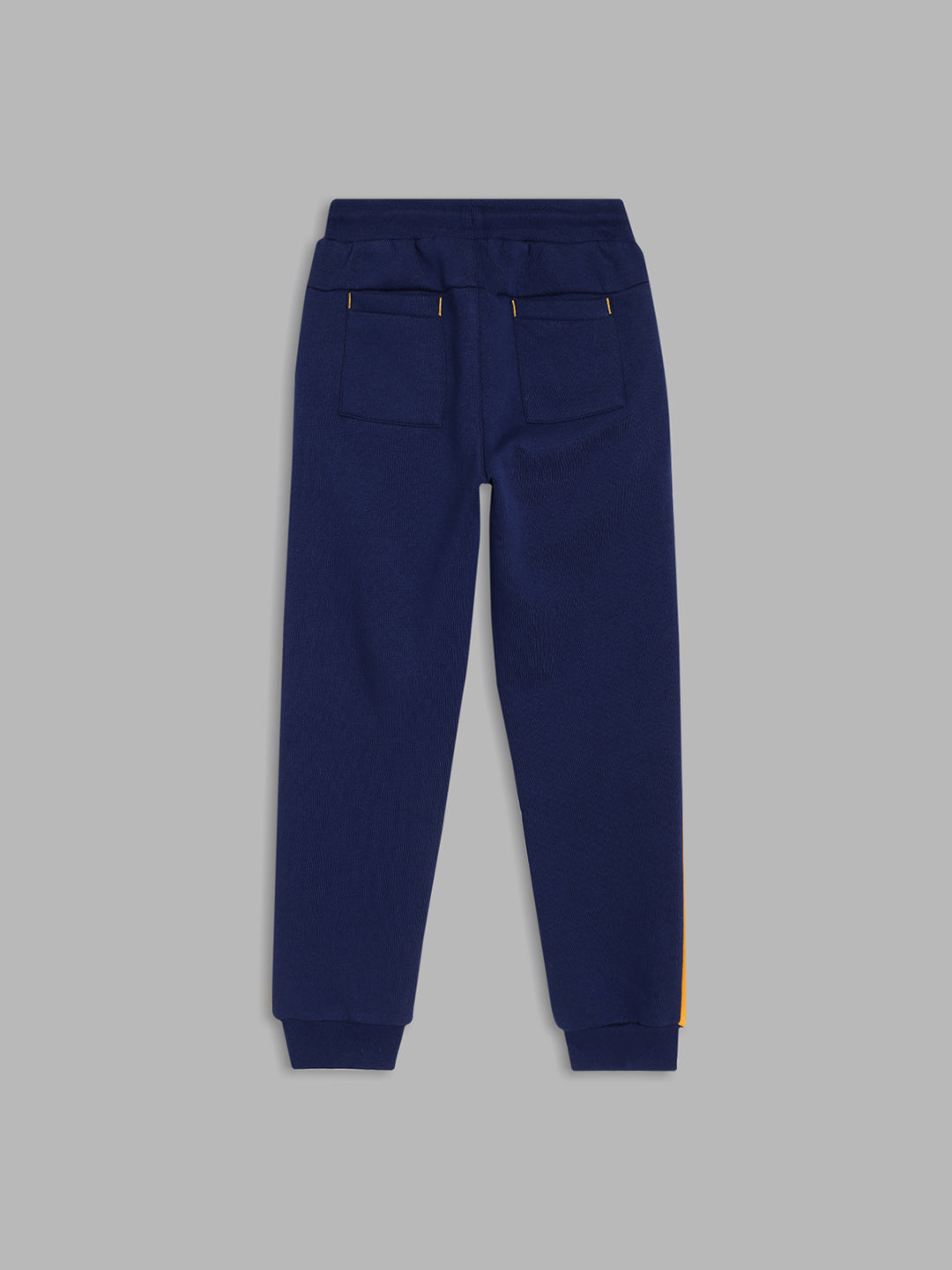 Blue Giraffe Boys Navy Blue Colour blocked Regular Fit Sweatpant