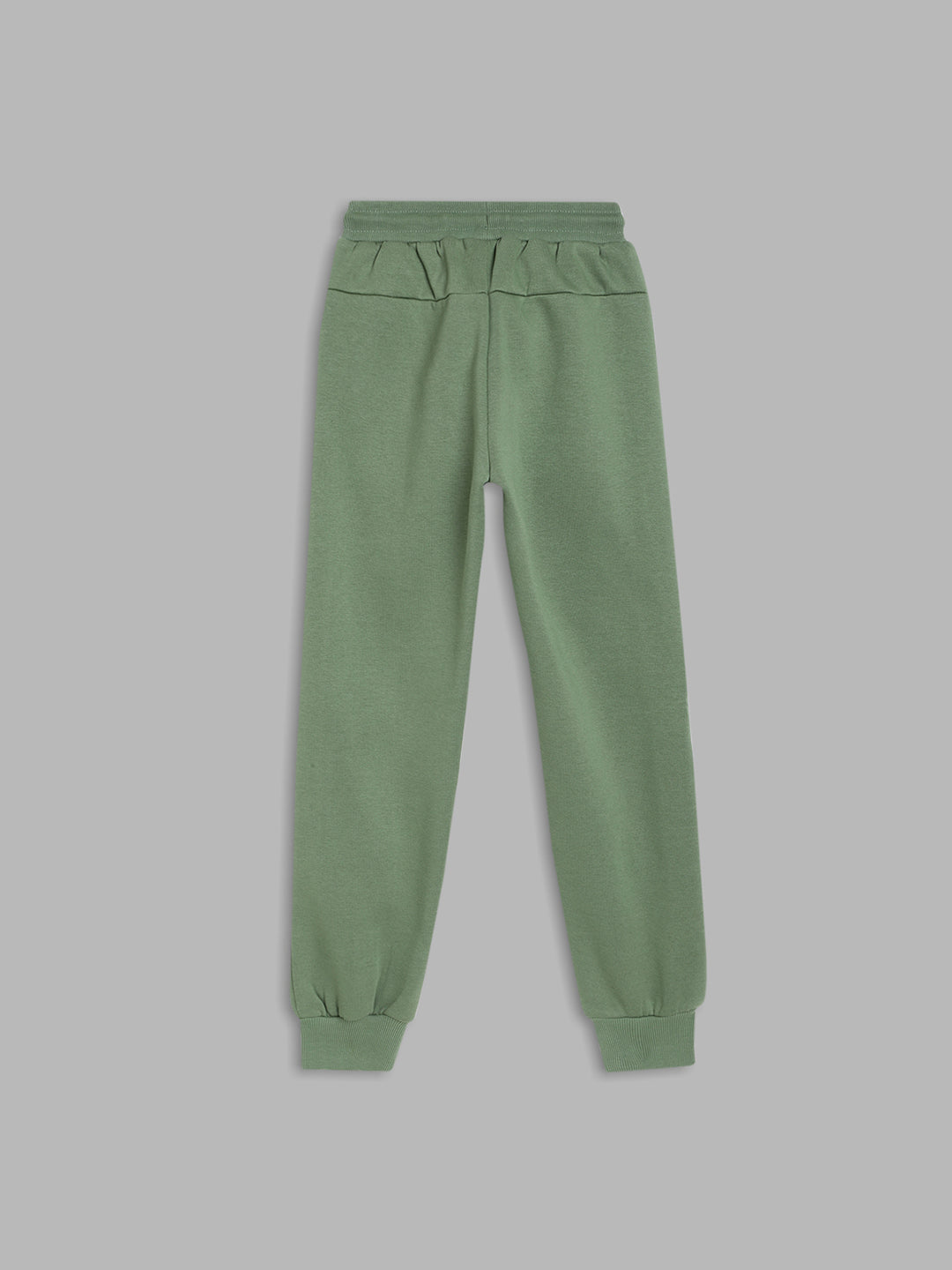 Blue Giraffe Boys Green Solid Regular Fit Sweatpant