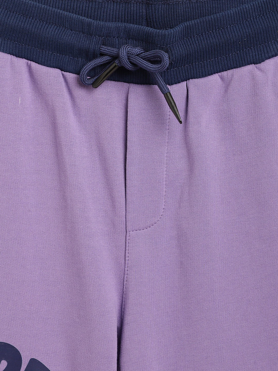 Blue Giraffe Boys Lilac Solid Regular Fit Shorts