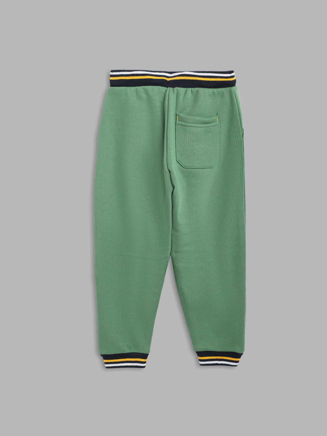 Blue Giraffe Boys Green Solid Regular Fit Sweatpant