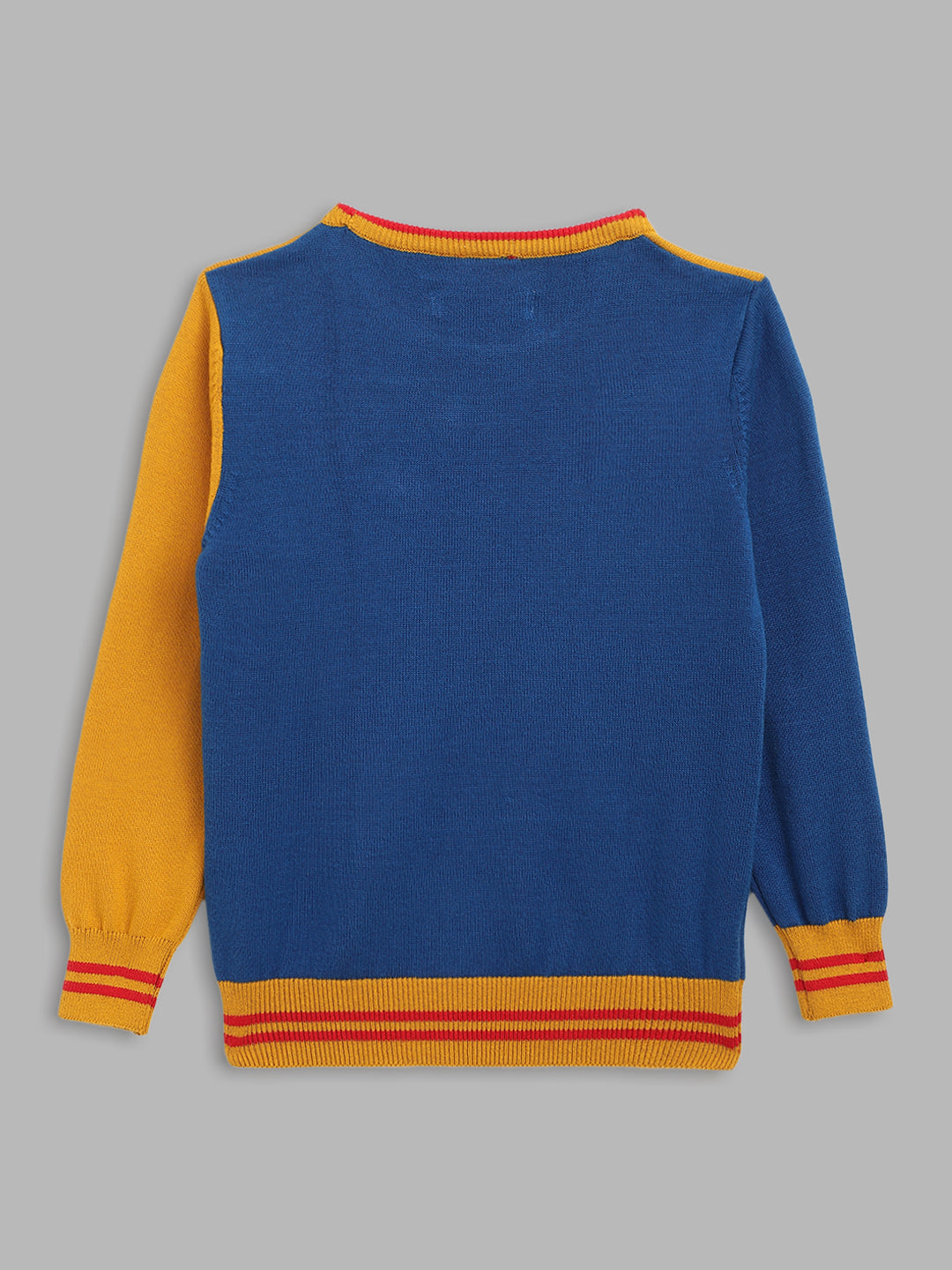 Blue Giraffe Boys Multi Solid Round Neck Sweater