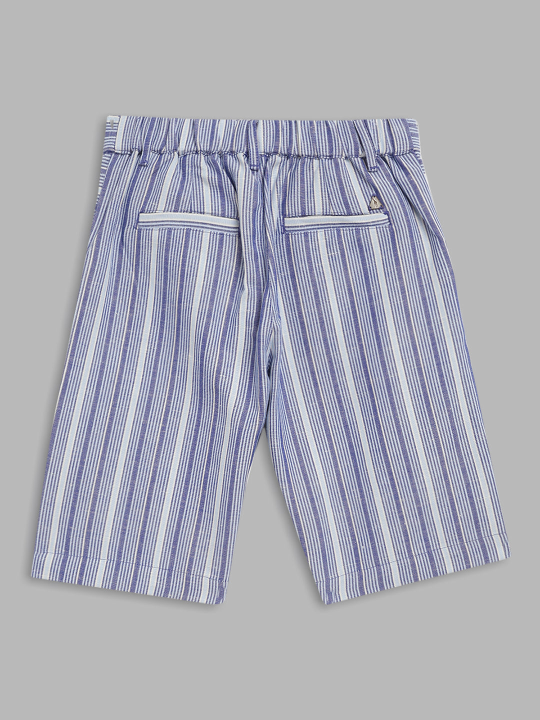 Blue Giraffe Boys Navy Blue Striped Regular Fit Shorts