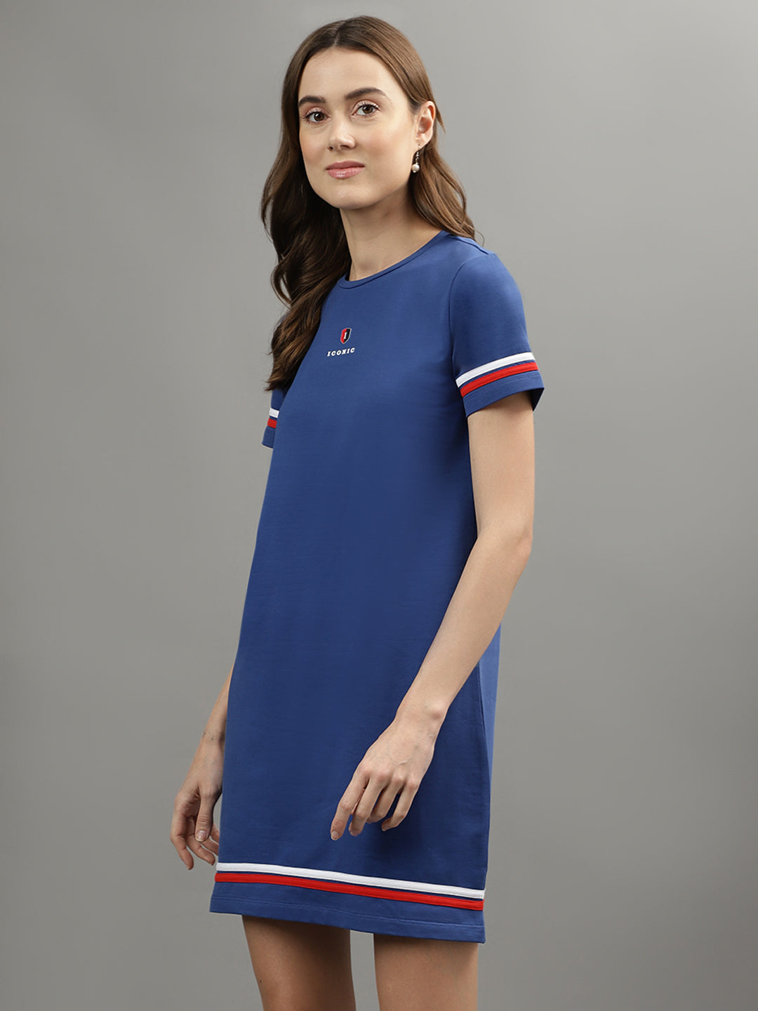 Iconic Women Navy Colour blocked Round Neck Dress