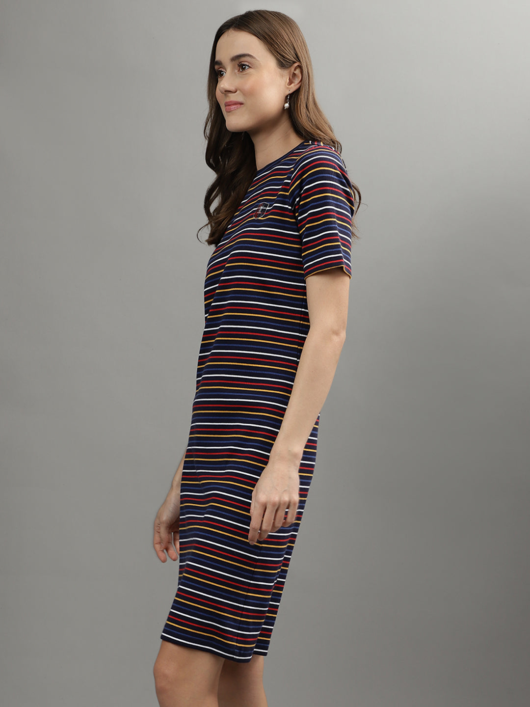 Iconic Women Multi Striped Round Neck Dress