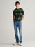 Gant Men Green Striped Round Neck Short Sleeves T-shirt