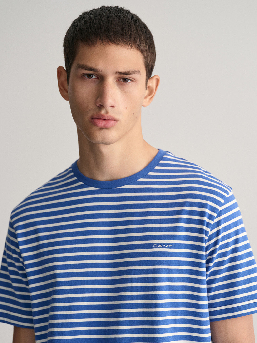 Gant Men Blue Striped Round Neck Short Sleeves T-Shirt