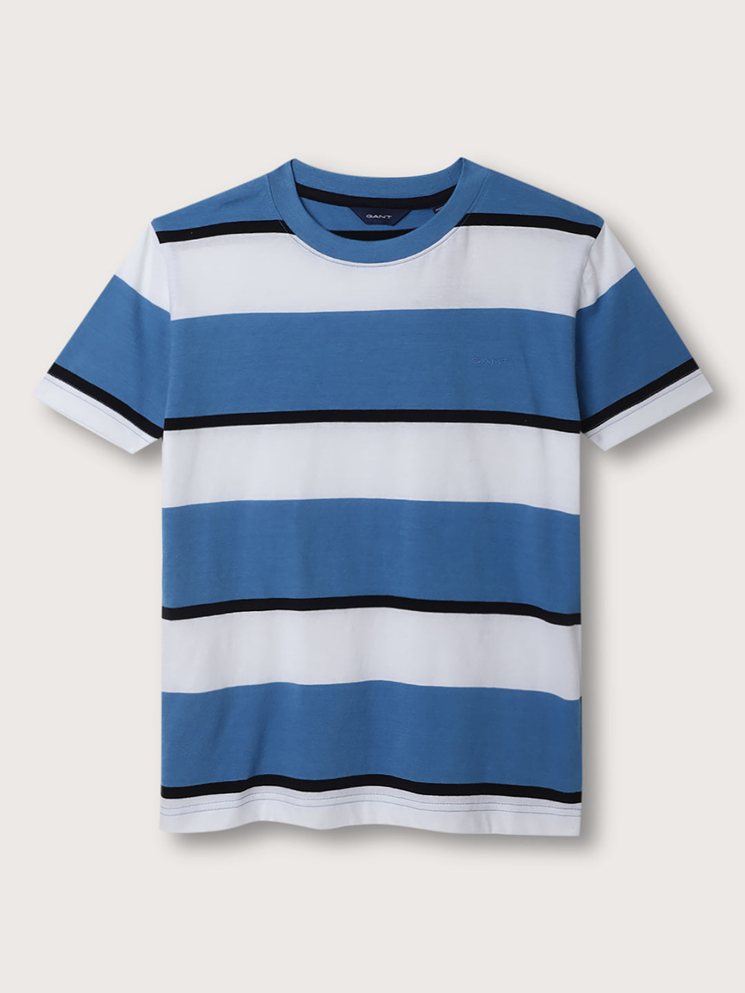 Gant Kids Blue Striped Relaxed Fit T-Shirt