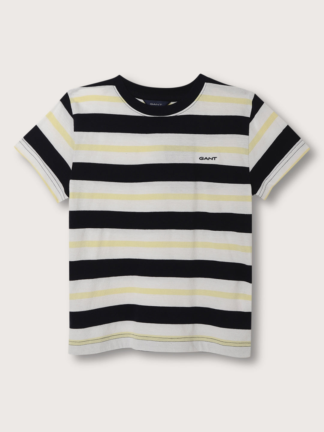 Gant Kids Multicolor Striped Relaxed Fit T-Shirt