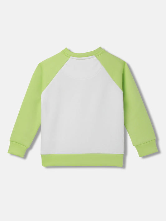 Blue Giraffe Girls Colour blocked Full Sleeves Round Neck Sweatshirt