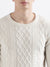 Iconic Men White Solid Full Sleeves Round Neck Sweater