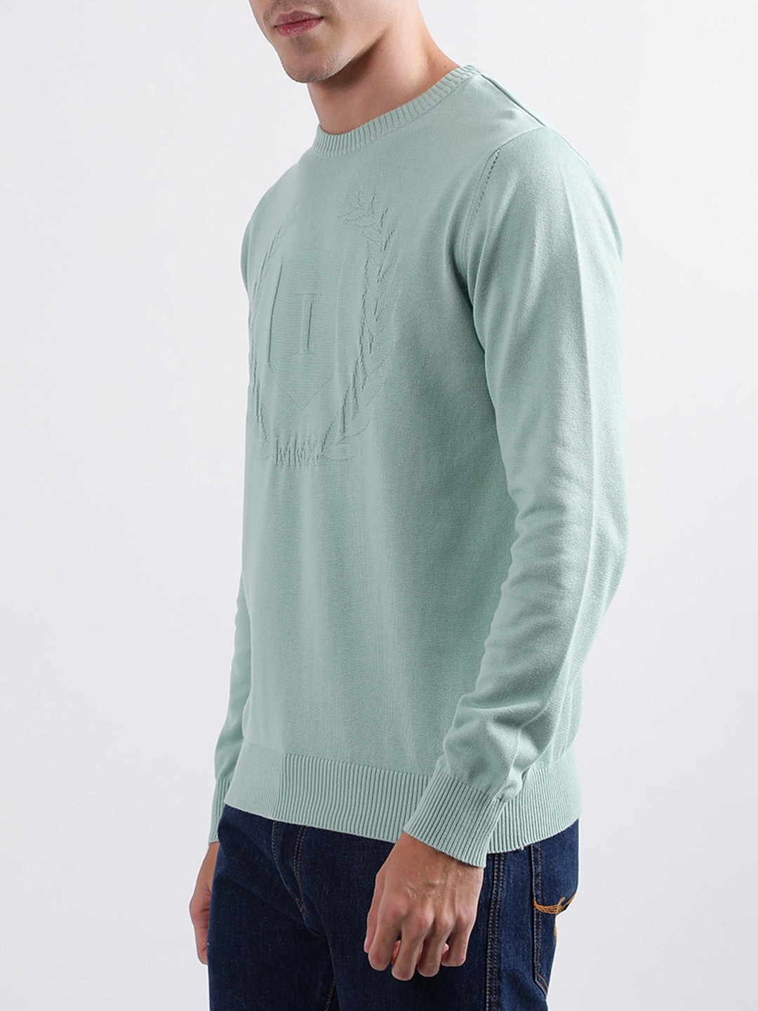 Iconic Men Green Solid Round Neck Sweater