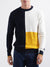 Iconic Men Multicolor Solid Round Neck Sweater