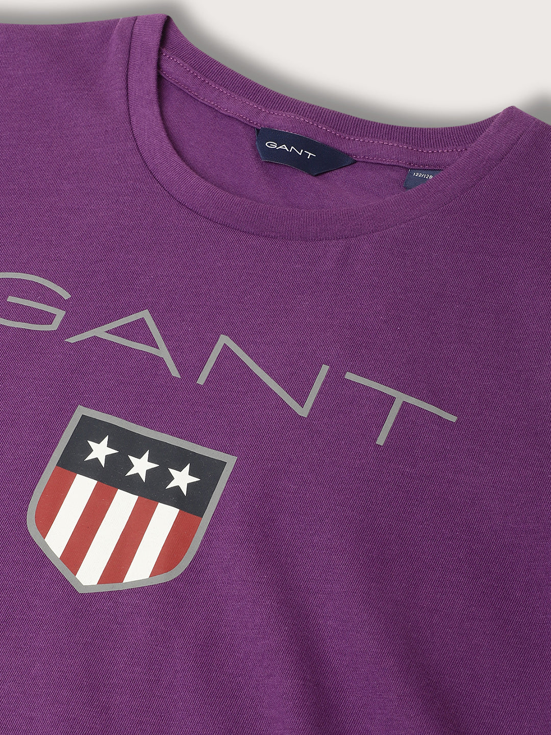 Gant Kids Purple Logo Regular Fit T-Shirt