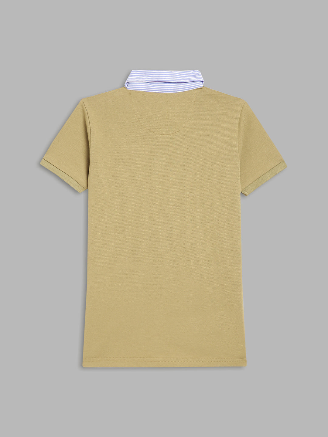 Blue Giraffe Boys Olive Solid Polo TShirt