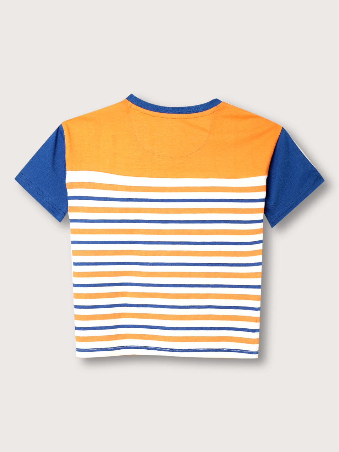 Blue Giraffe Kids Multi Striped Regular Fit T-Shirt