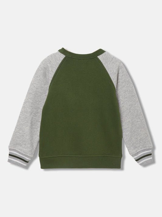 Gant Boys Olive Colourblocked Round Neck Long Sleeves Sweatshirts