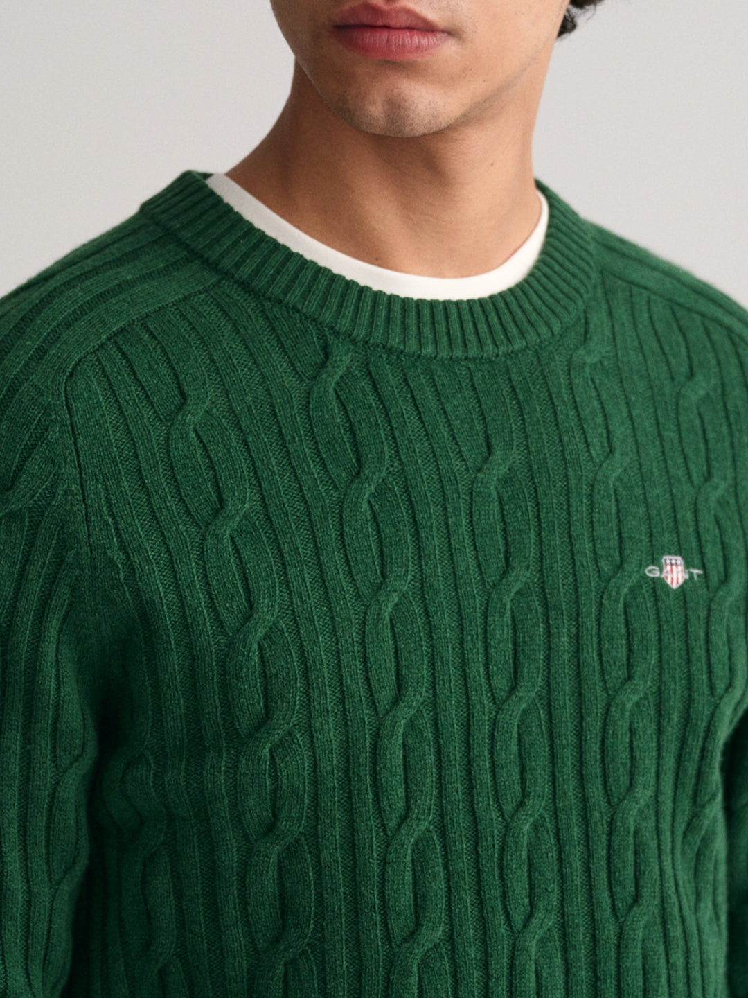 Shop Gant Men Green Solid Round Neck Sweater Online Iconic India