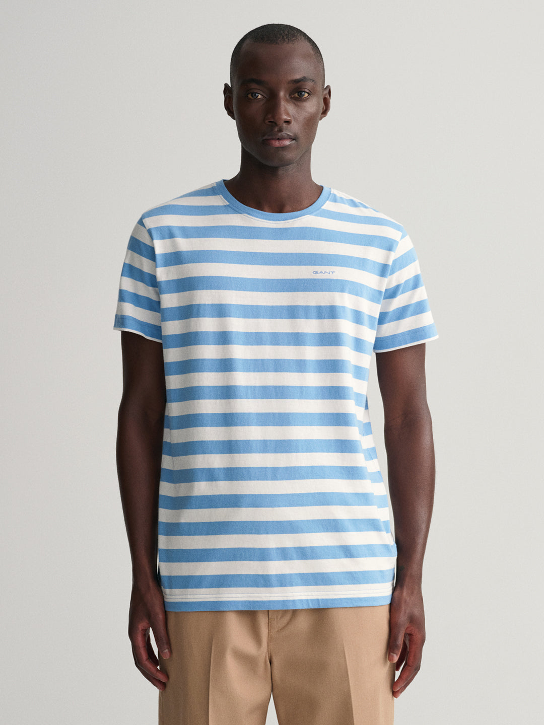 Gant Blue Striped Regular Fit T-Shirt